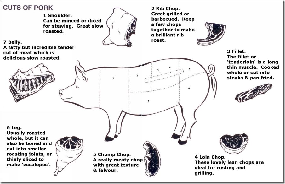 Diagram of pork meat cuts
